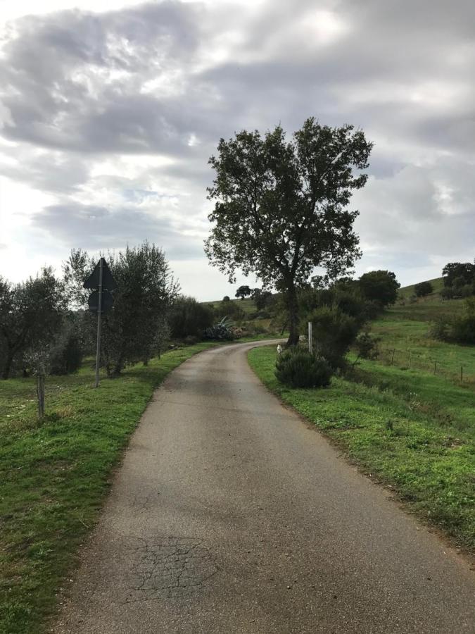 Podere Pini マリアーノ・イン・トスカーナ エクステリア 写真